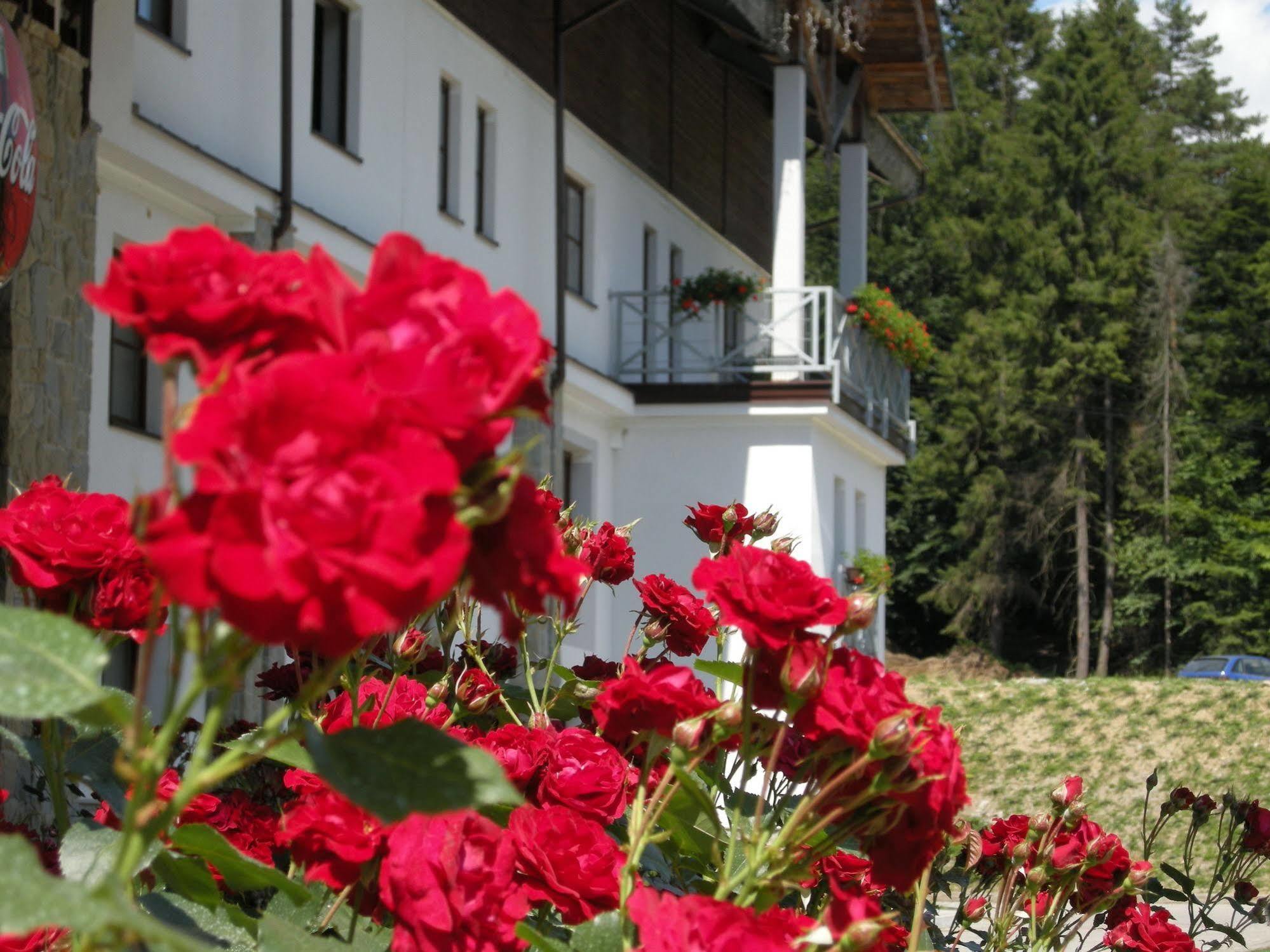 Hotel Jaworzyna Krynicka Krynica-Zdrój Exteriör bild